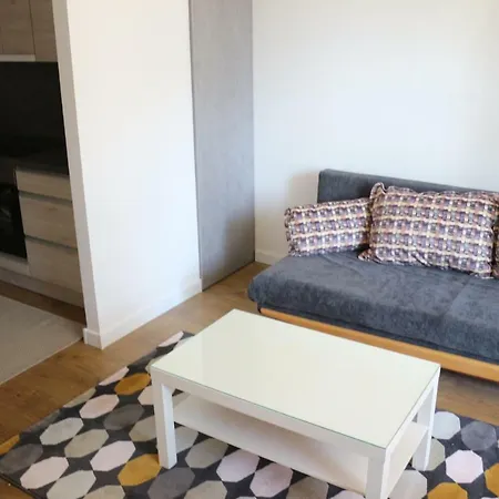Robert'o Studio Apartament'o * فيلنيوس